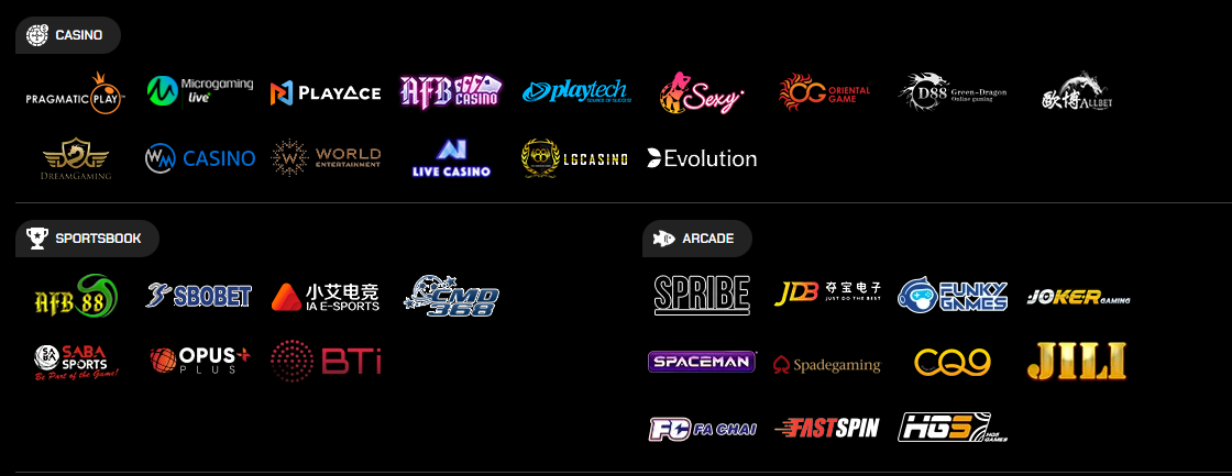 PROVIDER GAMING CASINO 